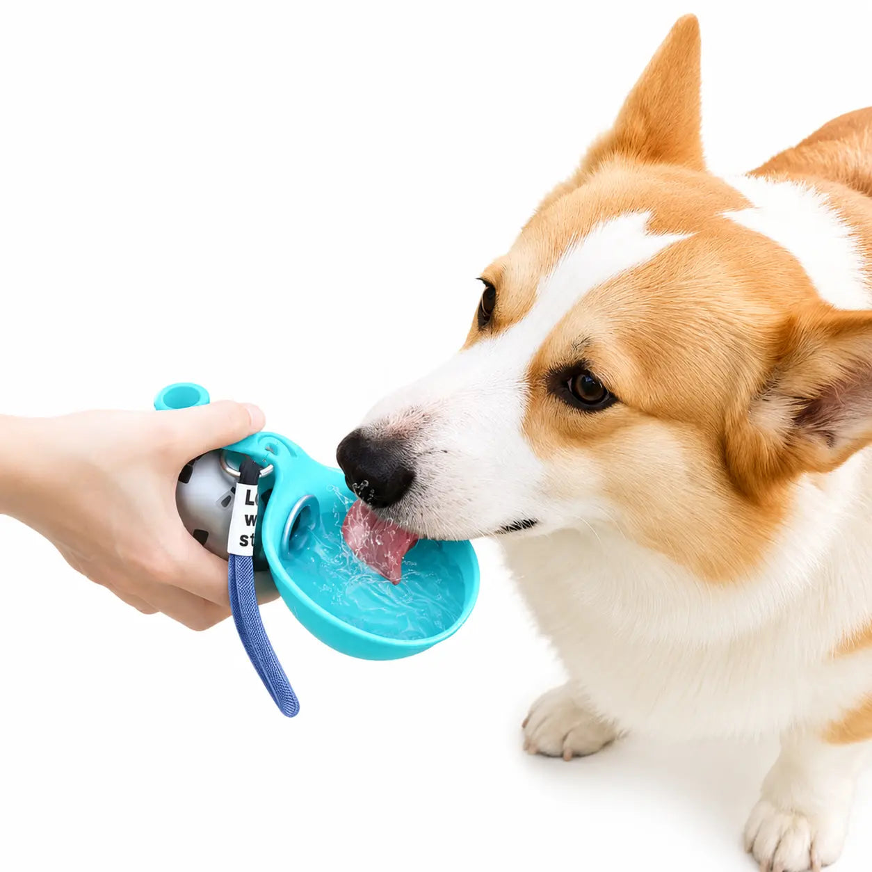 PAWCHUM Durable Construction Dog Water Bottle - Spill-Proof, Mess-Free, Portable Hydration On-The-Go for All-Terrain Travel, Easy Single-Handed Operation, Leak-Free Performance