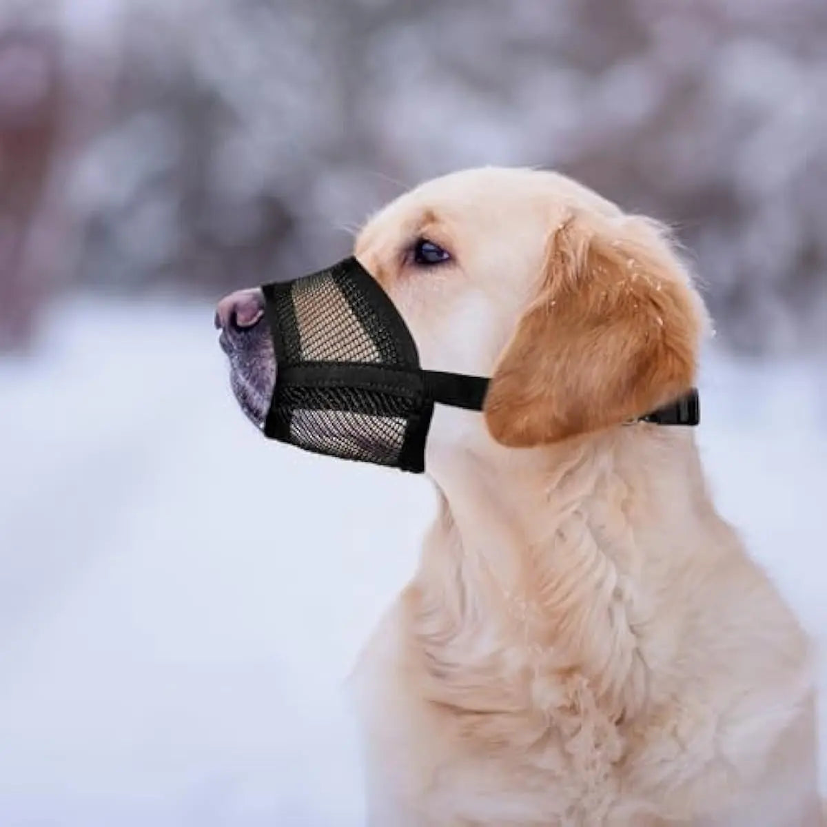 Adjustable Air Mesh Dog Muzzle for Various Sizes - Prevents Biting, Scavenging, Licking, and Chewing - Ideal for Back to School