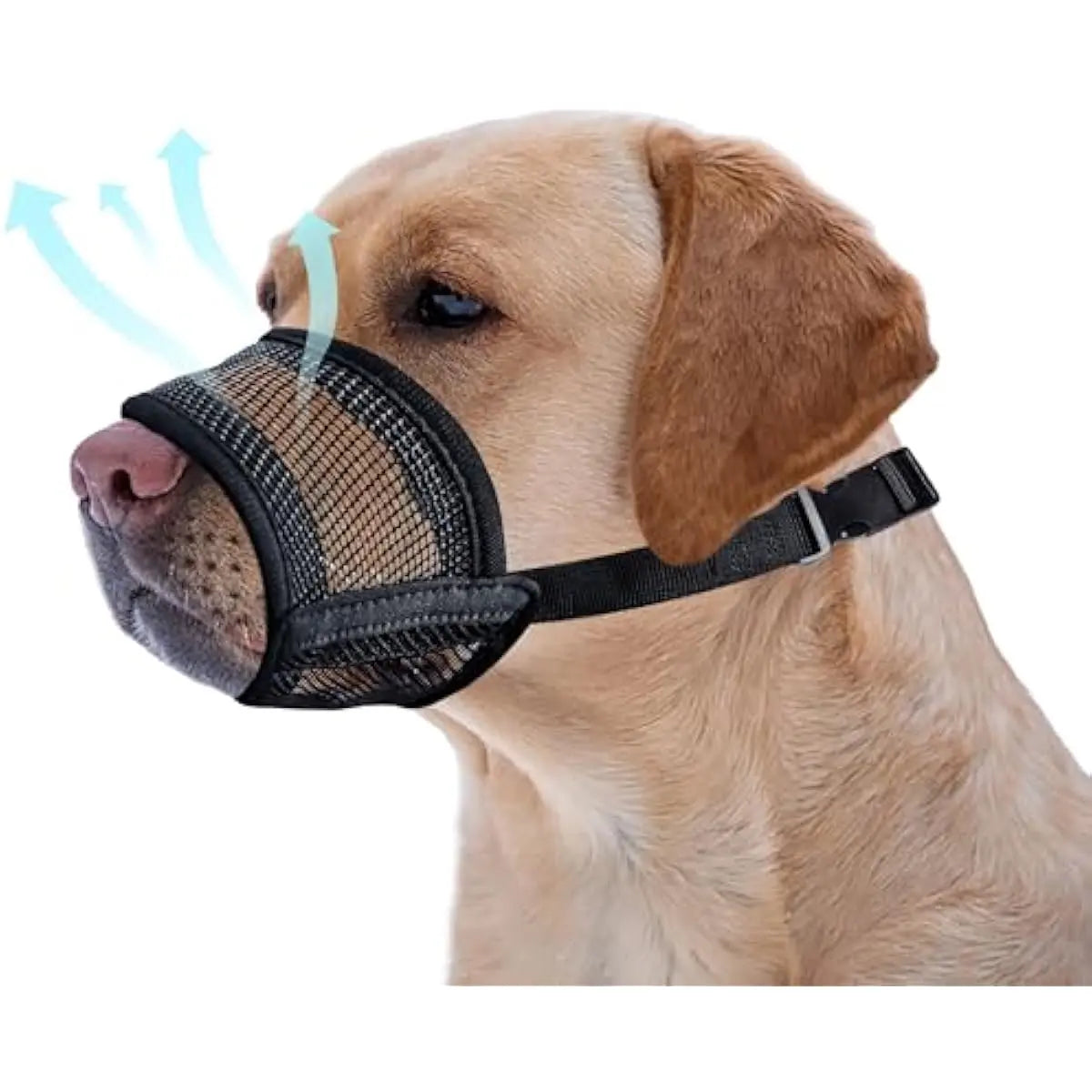 Adjustable Air Mesh Dog Muzzle for Various Sizes - Prevents Biting, Scavenging, Licking, and Chewing - Ideal for Back to School