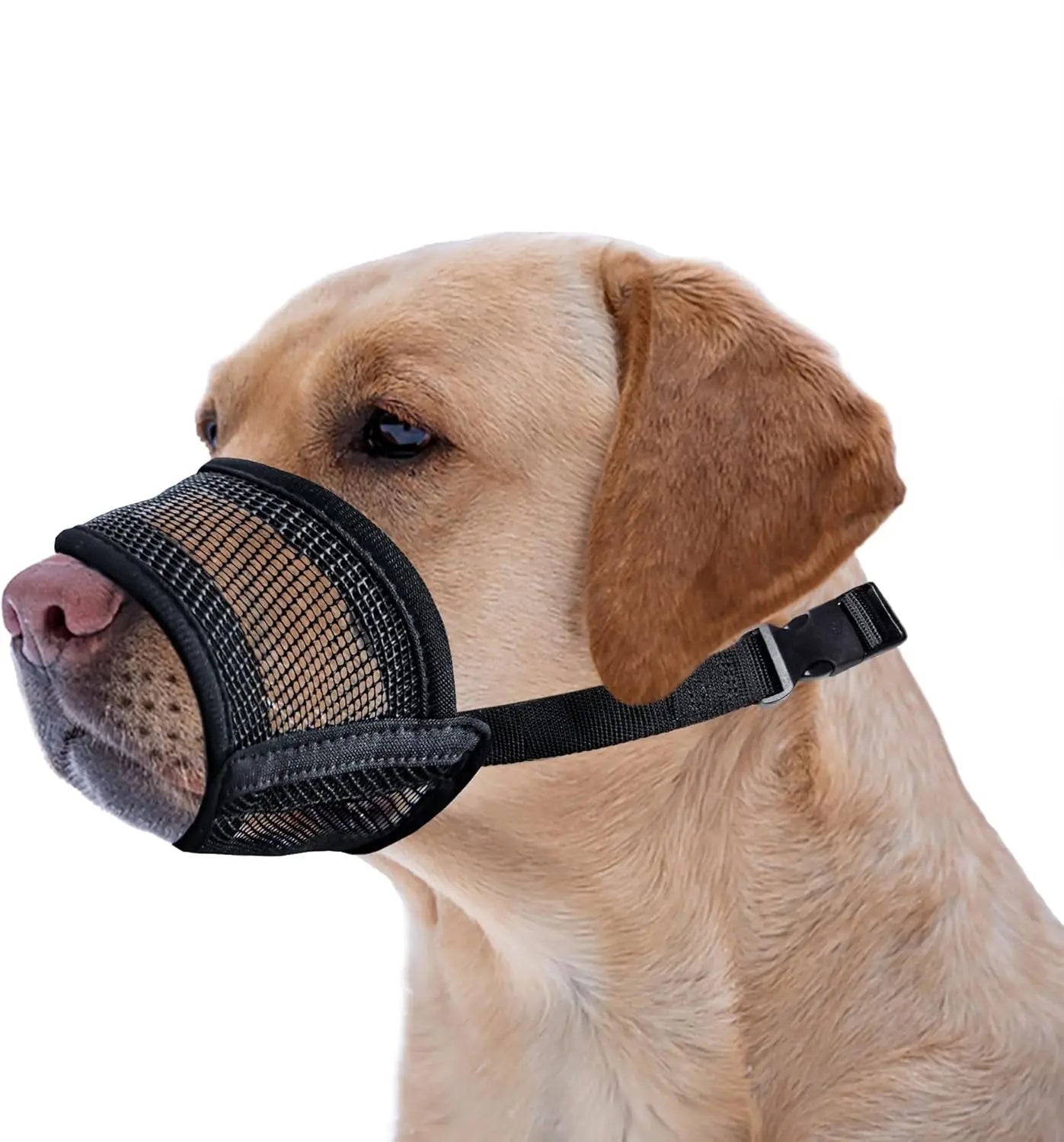 Adjustable Air Mesh Dog Muzzle for Various Sizes - Prevents Biting, Scavenging, Licking, and Chewing - Ideal for Back to School